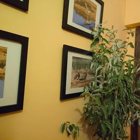 Venkovský dům Casa El Altero Codo